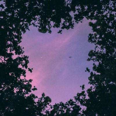 m6米乐官方入口app下载