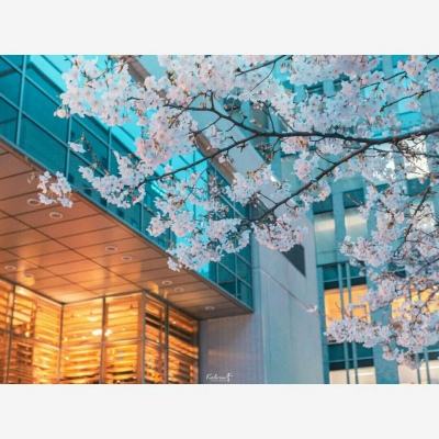 香港今晚六给彩开奖结果