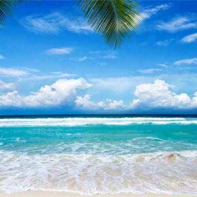 澳门精准正版资料大全